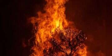 Wildfires rage across Europe. Photo: Reuters Europe burns as firefighters reach breaking point