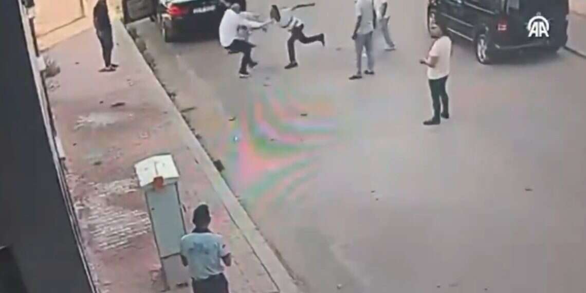 Turkish Video shows Turkish lawmaker stabbed in hometown attack