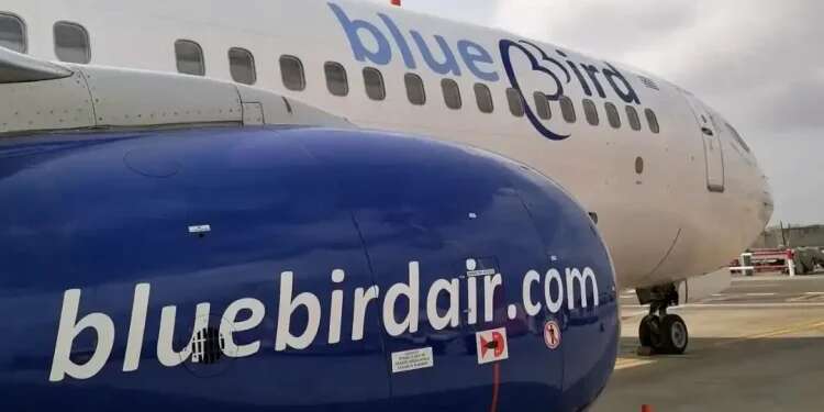 Blue Bird Airways. Photo: Courtesy Blue Bird Airways adds fourth weekly Tel Aviv-Amsterdam flight