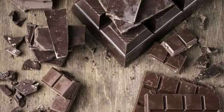 Children hospitalized after eating chocolate containing hallucinogenic mushrooms