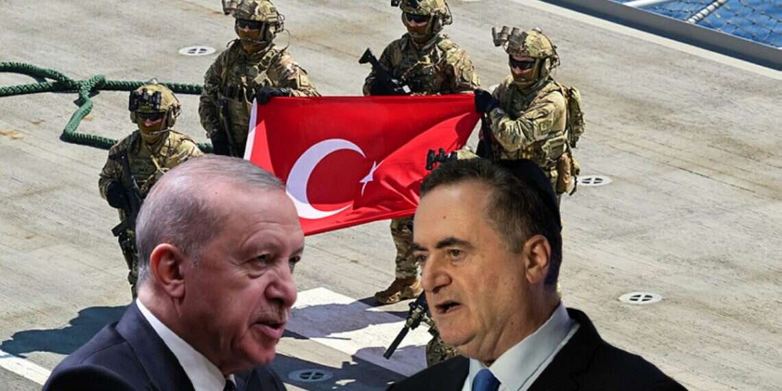 'Don't anger him': Katz mocks Erdogan after Syria strike