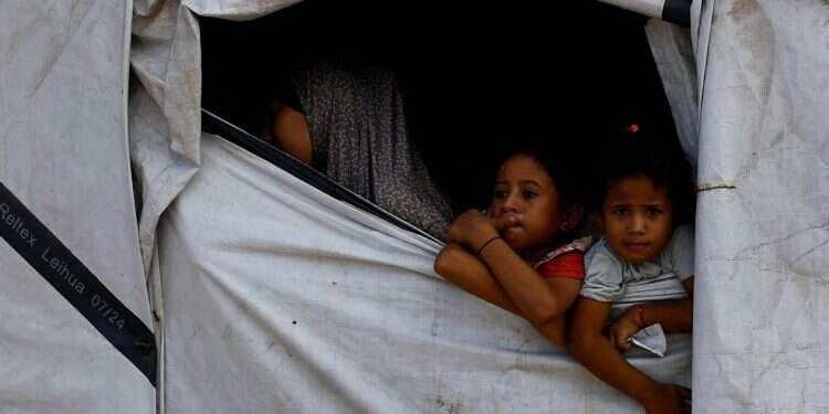 Palestinian girls look out from their tent at an agricultural field in Deir Al-Balah, in the central Gaza Strip, August 27, 2026. Domestic violence against women and girls surges in Gaza, UN agency reports