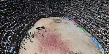 People watch a bullfight in Zaibian located in Congjiang County, in China's southwest Guizhou province on September 19, 2026 WATCH: Bullfight gone wrong puts spectators in unlucky place