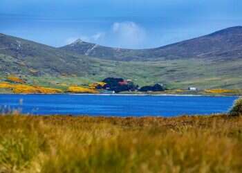 President Javier Milei reinstates Argentina's claim to Falkland Islands