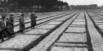 Stalag 362 prisoner-of-war camp after its liberation by Allied forces Photo Wikipedia Germany investigates 105-year-old former Nazi camp guard over role in murders