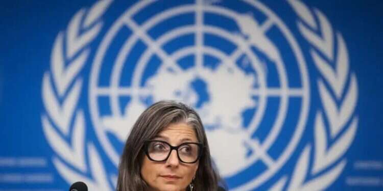 UN Special Rapporteur Francesca Albanese Albanese retracts claim that Nazi camps called Jews 'Muslims'