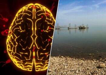 Israel updates Sea of Galilee swimming guidelines after brain-eating amoeba infection