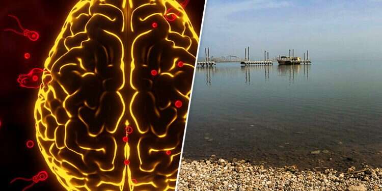A brain-eating amoeba against the backdrop of the Sea of Galilee. Photo: Aal Margolin-GINI, Getty Images Israel updates Sea of Galilee swimming guidelines after brain-eating amoeba infection