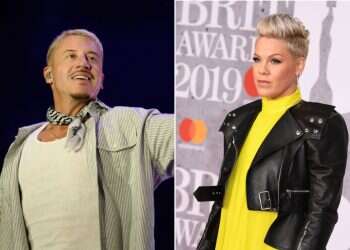 Pink slams Macklemore's 'Free Palestine' display at Ed Sheeran concert