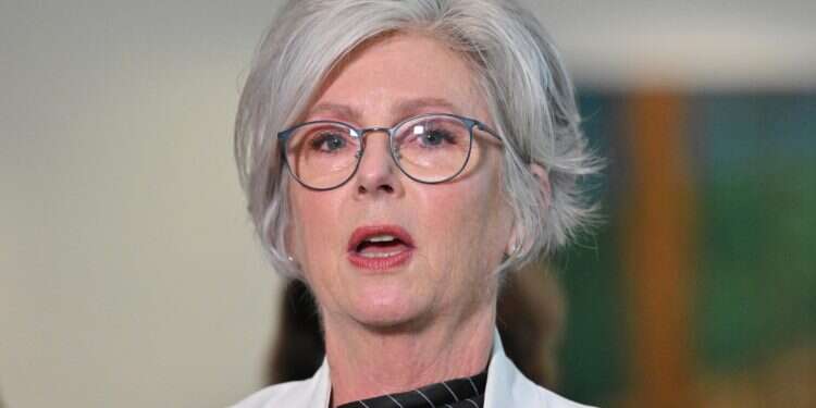 Australian MP Helen Haines loses both legs in car ramming