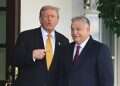 Trump's UN gambit: Could Viktor Orban become secretary-general?