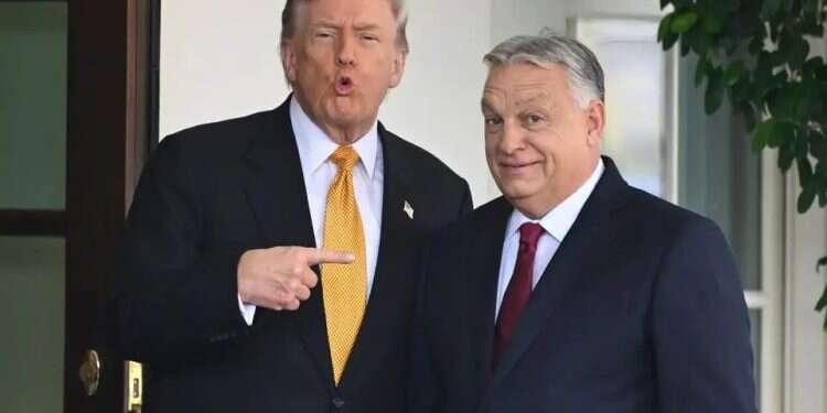 Trump's UN gambit: Could Viktor Orban become secretary-general?