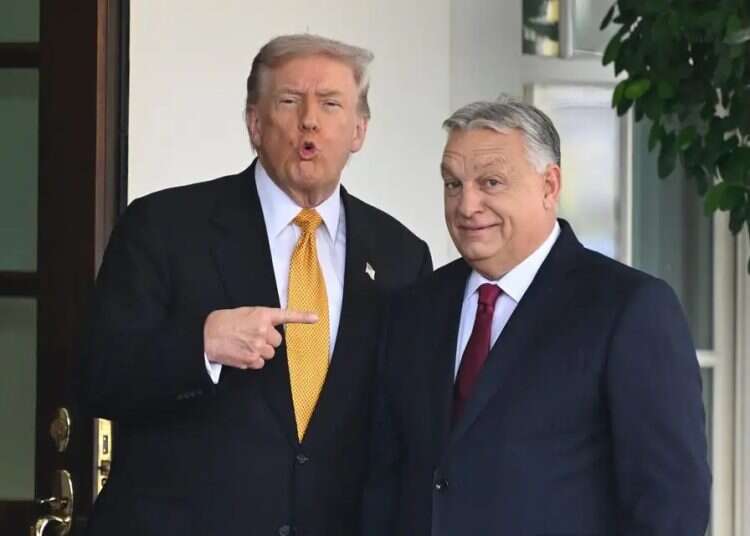 Trump with Orban. Photo: AP Trump's UN gambit: Could Viktor Orban become secretary-general?
