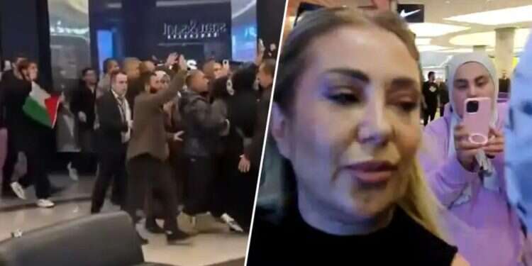 Israeli woman targeted by hostile mob in Istanbul shopping center