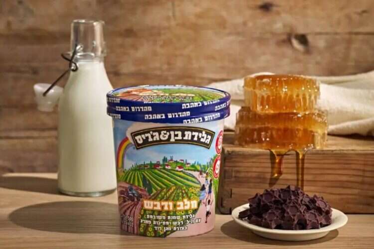 Milk and Honey Ben&Jerry's ice cream
