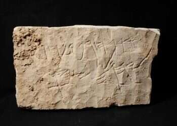 Ancient Hebrew curse inscription mentioning the 'Lord of Hosts,' southern Hebron Hills, eighth century BCE | Photo: Bible Lands Museum Jerusalem 2,800-year-old curse reveals surprising detail about Kingdom of Judah